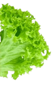 sallad